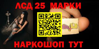 крисы Беслан
