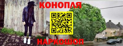 крисы Беслан