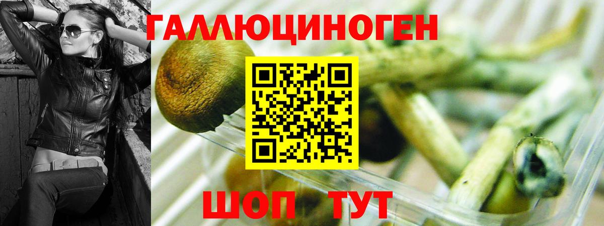 Псилоцибиновые грибы мицелий Великие Луки