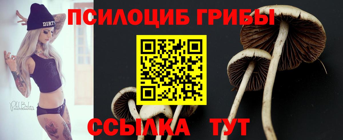 Великие Луки  где можно купить наркотик  Вход с VPN  Псилоцибиновые грибы ЛСД  Галлюциногенные грибы мицелий 